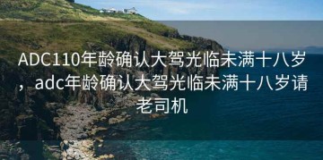 ADC110年龄确认大驾光临未满十八岁，adc年龄确认大驾光临未满十八岁请老司机
