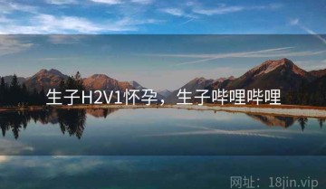 生子H2V1怀孕，生子哔哩哔哩