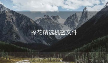 探花精选机密文件