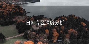 日韩专区深度分析