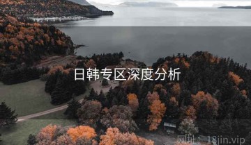 日韩专区深度分析