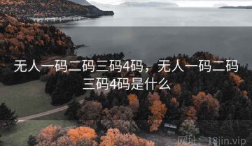 无人一码二码三码4码，无人一码二码三码4码是什么