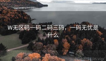 W无区码一码二码三码，一码无忧是什么