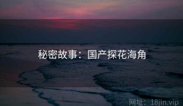 秘密故事：国产探花海角