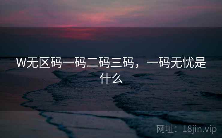 W无区码一码二码三码，一码无忧是什么