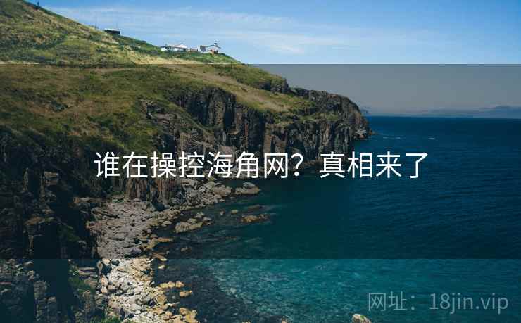 谁在操控海角网？真相来了
